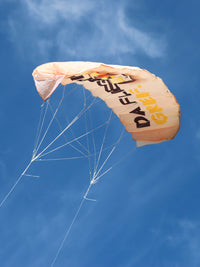 Load image into Gallery viewer, GANTER Flugdrachen "Greif"
