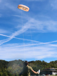 Load image into Gallery viewer, GANTER Flugdrachen "Greif" in Aktion
